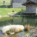 teich-11