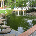 wasser-4